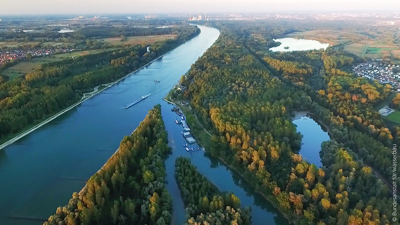 Der Oberrhein südlich von Karlsruhe: Auer Altrhein, Fähre Neuburgweier, im Hintergrund Karlsruhe